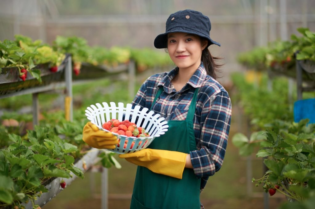 Buôn bán gì nhanh giàu ở nông thôn - Góc nhìn cơ hội kinh doanh