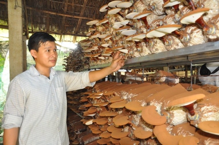 Buôn bán gì nhanh giàu ở nông thôn - Góc nhìn cơ hội kinh doanh